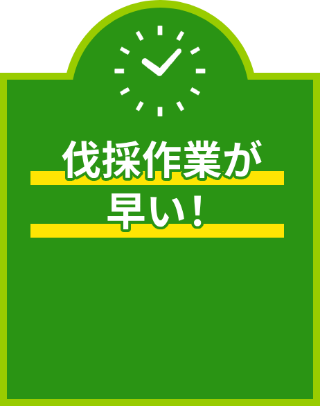 伐採作業が早い!